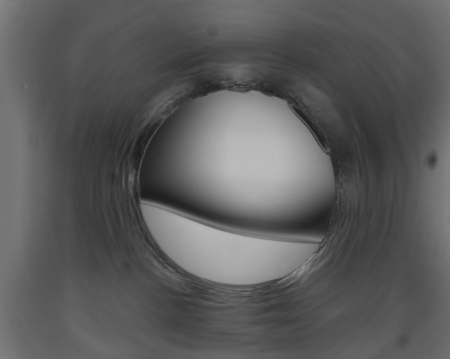X0000093560188200710151003
