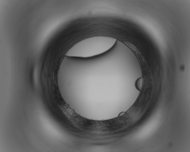 X0000093560189200710151003
