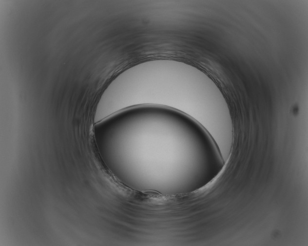 X0000093560190200710151003