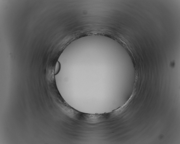 X0000093560191200710151003
