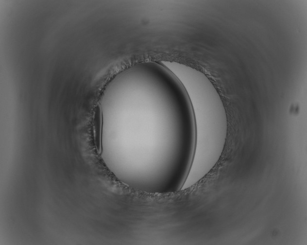 X0000093560192200710151003