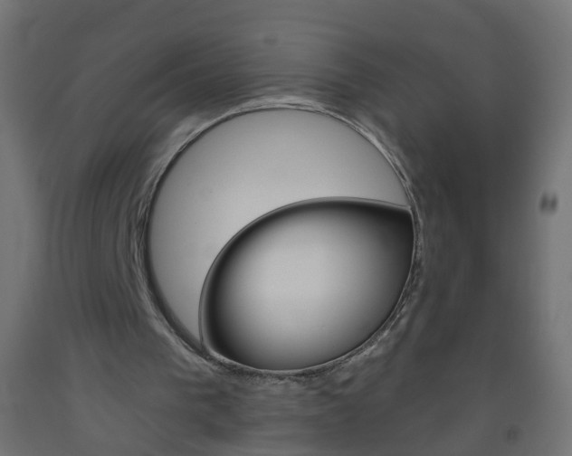X0000093560193200710151003