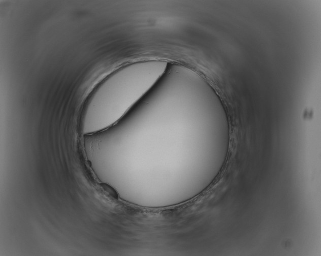 X0000093560194200710151003