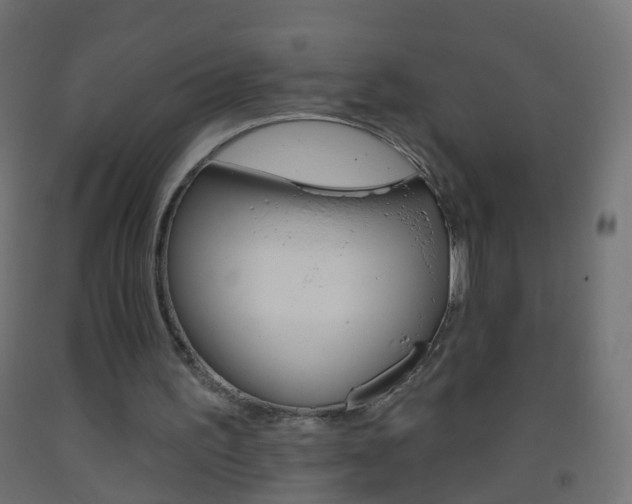 X0000093560195200710151003