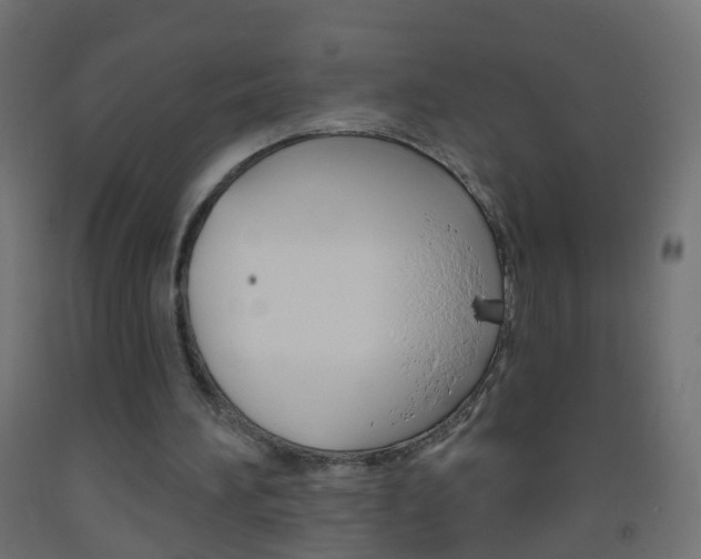 X0000093560196200710151003