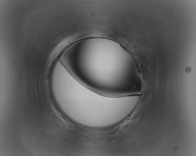 X0000093560197200710151003