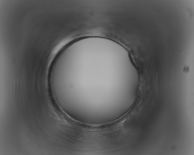 X0000093560200200710151003