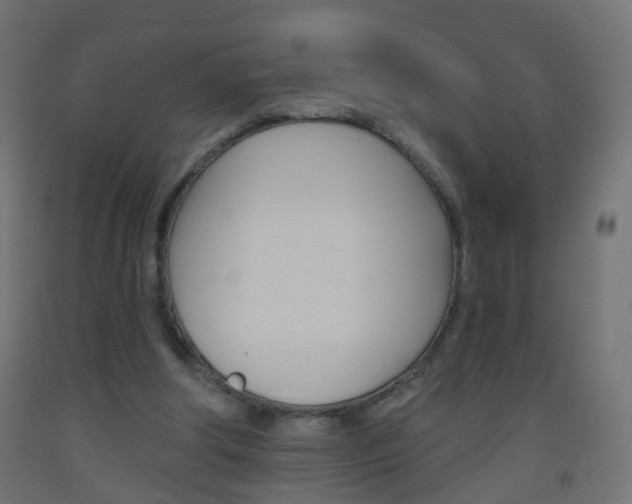 X0000093560202200710151003