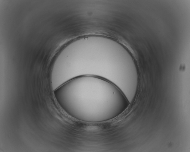 X0000093560203200710151003