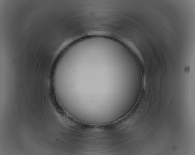 X0000093560204200710151003
