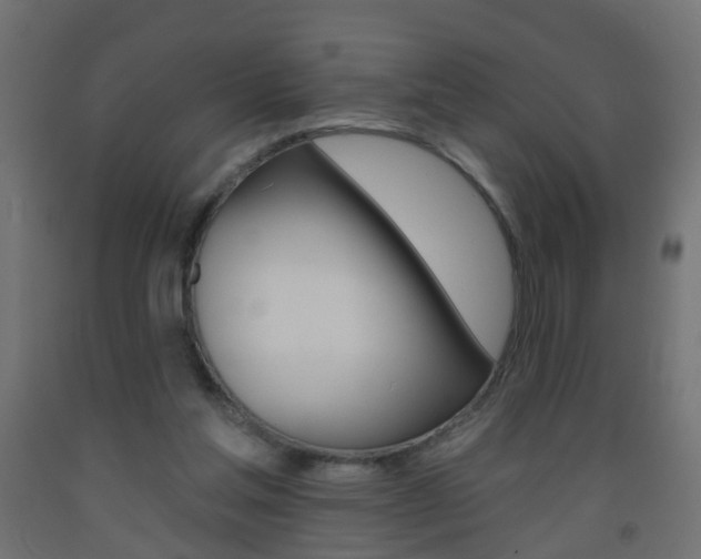 X0000093560205200710151003