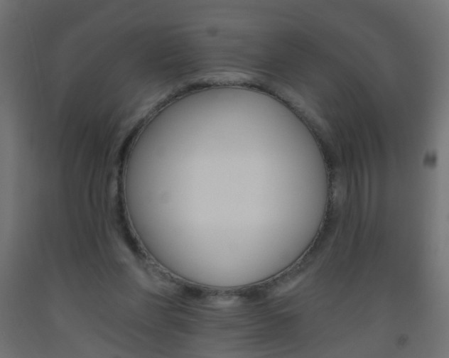 X0000093560206200710151003
