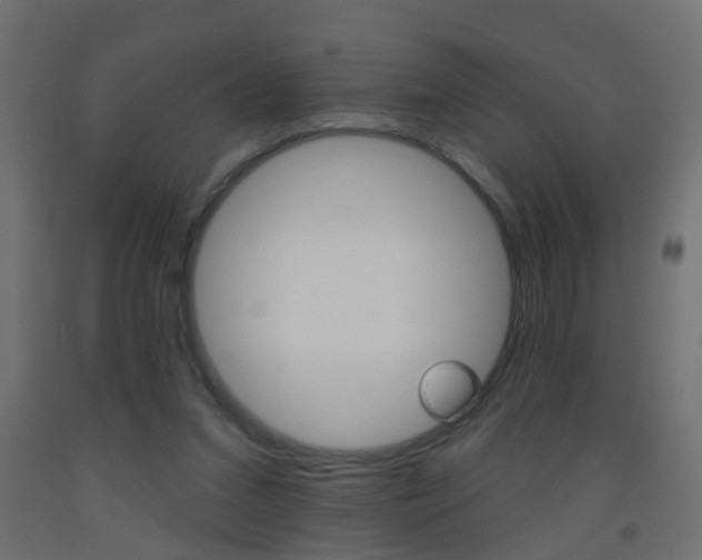 X0000093560207200710151003