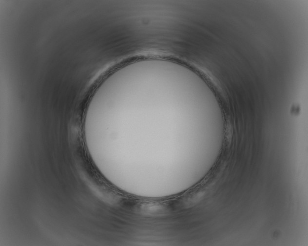 X0000093560208200710151003