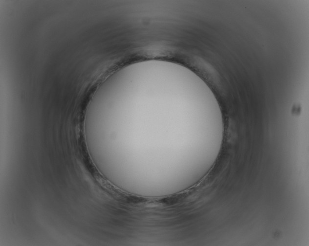 X0000093560210200710151003