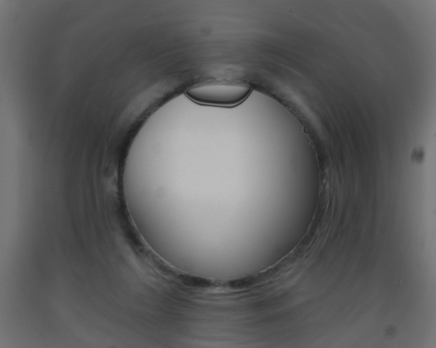 X0000093560212200710151003