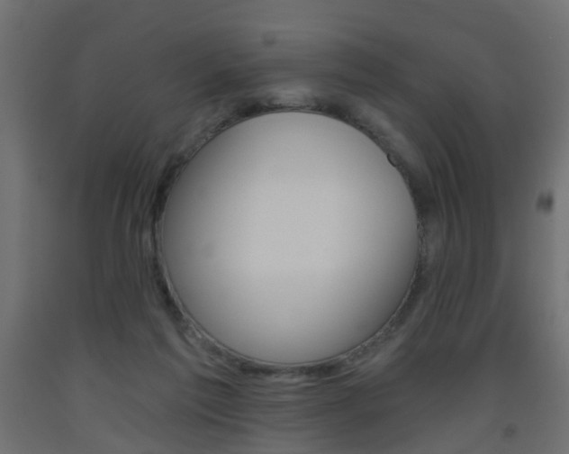 X0000093560213200710151003