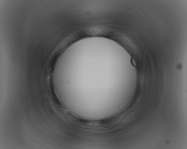 X0000093560214200710151003