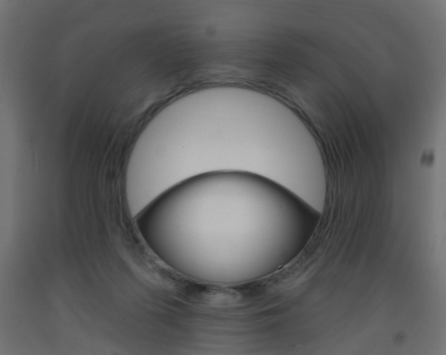 X0000093560215200710151003