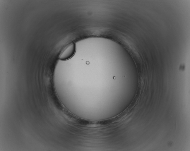 X0000093560216200710151003