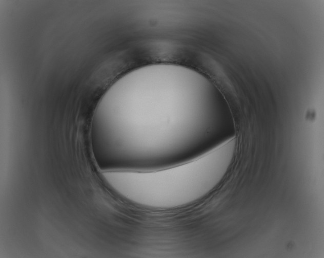 X0000093560217200710151002
