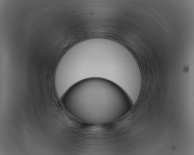 X0000093560219200710151002