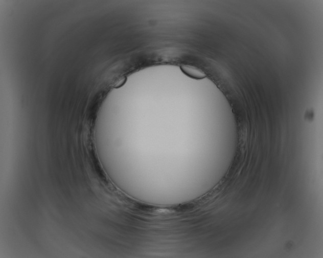 X0000093560222200710151002