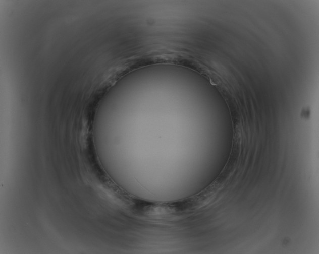 X0000093560223200710151002