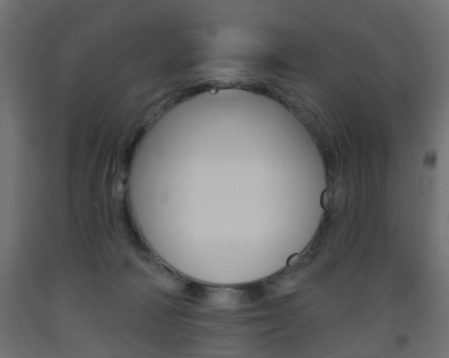 X0000093560226200710151002