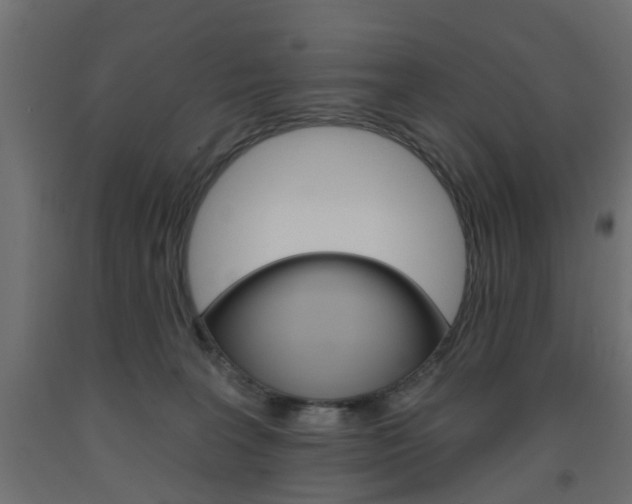 X0000093560227200710151002