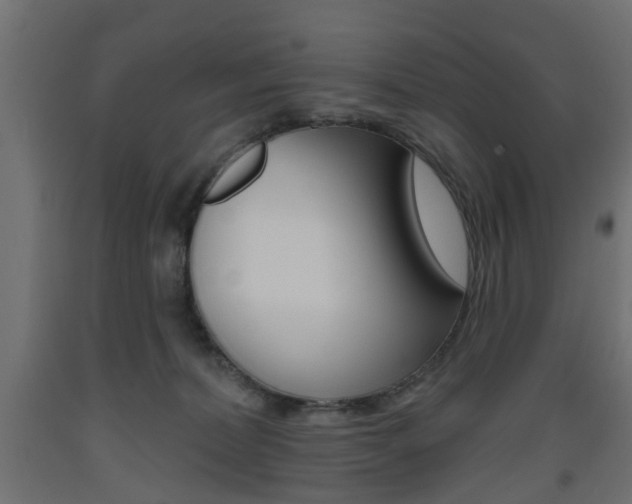 X0000093560228200710151002