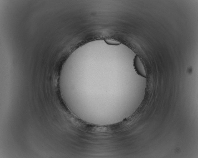 X0000093560230200710151002