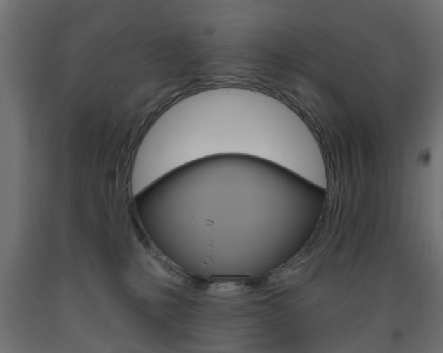 X0000093560231200710151002