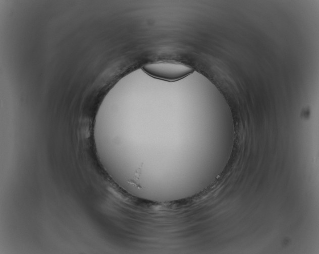 X0000093560232200710151002