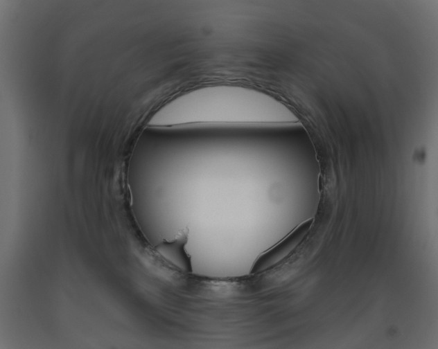 X0000093560233200710151002