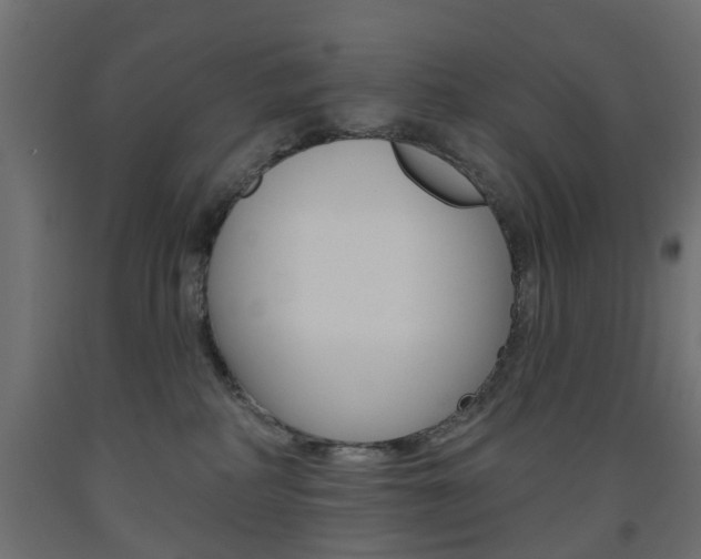 X0000093560234200710151002