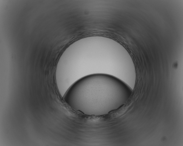 X0000093560235200710151002