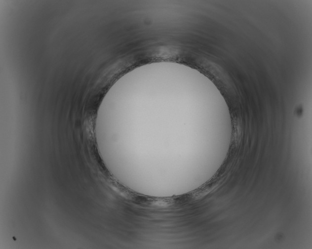 X0000093560236200710151002