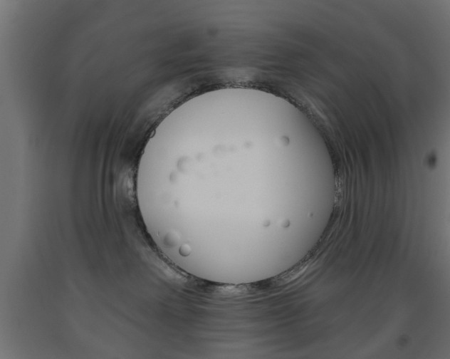 X0000093560238200710151002