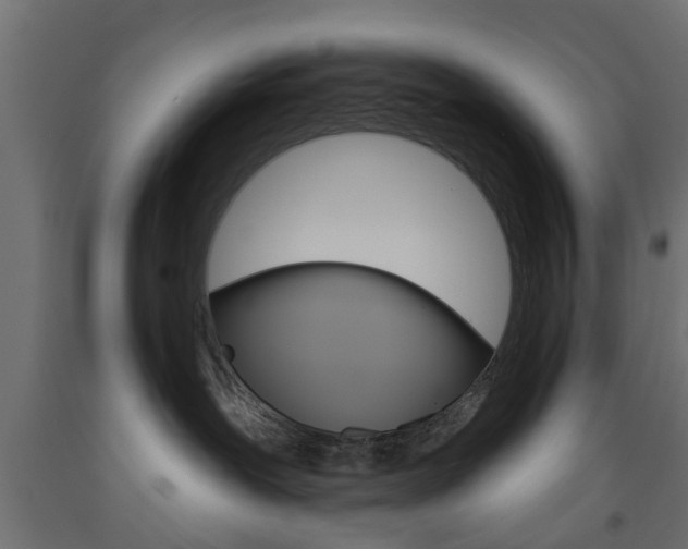 X0000093560239200710151002