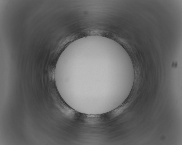 X0000093560240200710151002