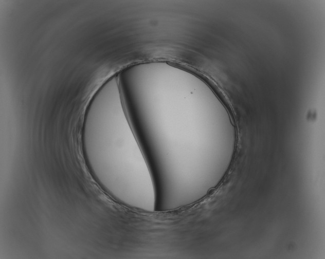X0000093560241200710151002
