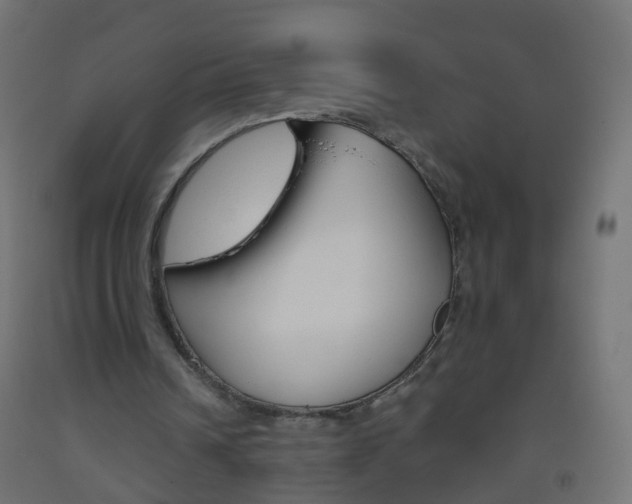 X0000093560242200710151002
