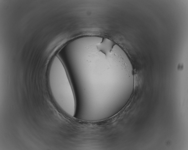 X0000093560243200710151002