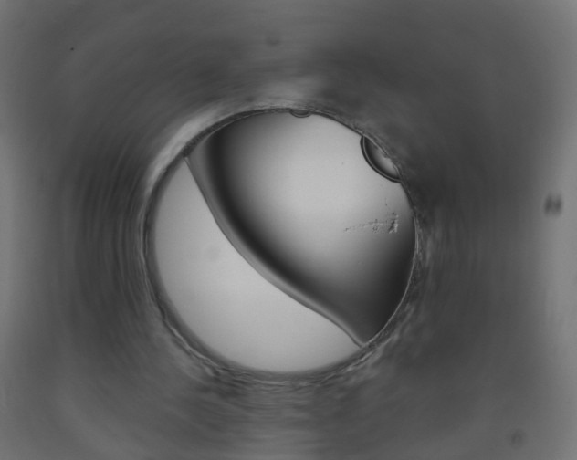 X0000093560244200710151002
