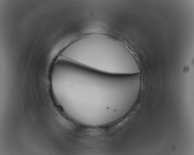 X0000093560245200710151002