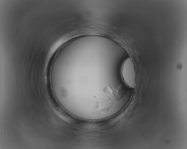 X0000093560246200710151002