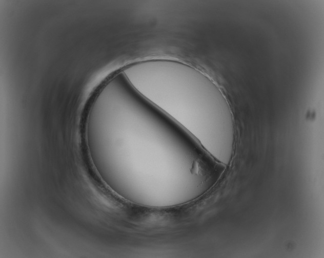 X0000093560248200710151002