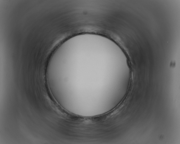 X0000093560249200710151002