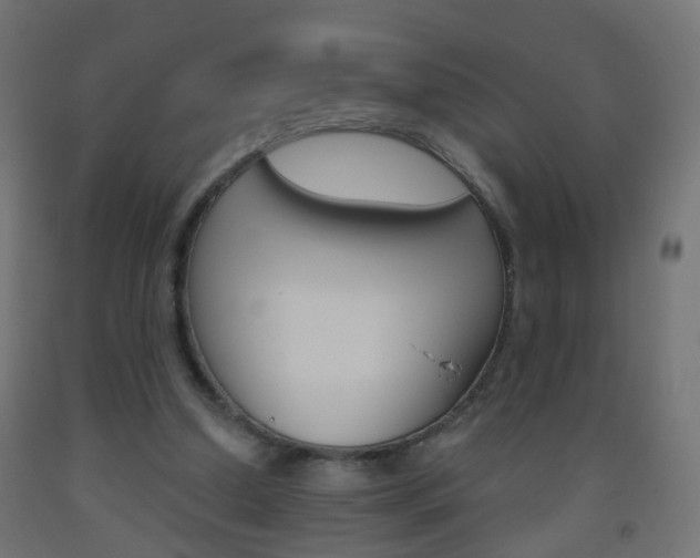 X0000093560250200710151002